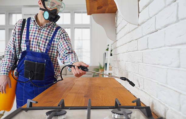 الشركة الالمانية لمكافحة الصراصير